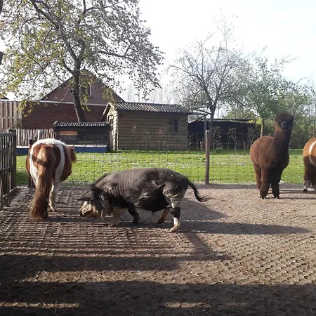 Apart-hotel Boerderij *