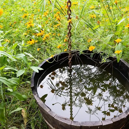 Apart-hotel Boerderij