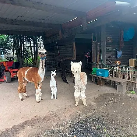 Boerderij 3* Best
