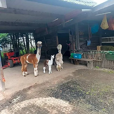Aparthotel Boerderij 3*