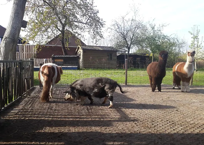 아파트호텔 Boerderij 3*