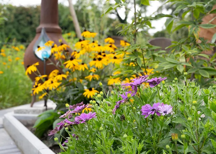 아파트호텔 Boerderij 3*