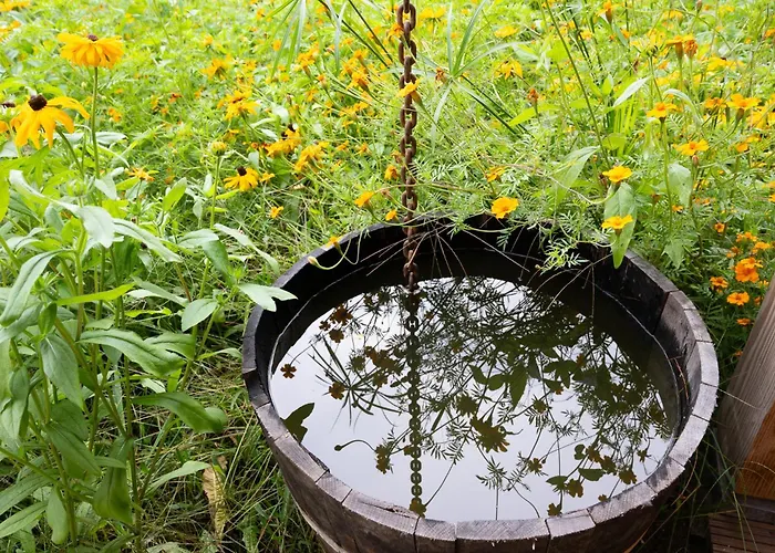 아파트호텔 Boerderij