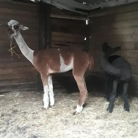 Aparthotel Boerderij Best