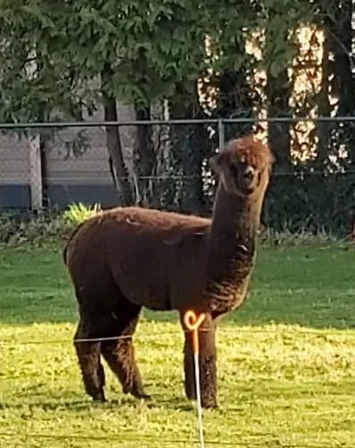 Ξενοδοχείο με διαμερίσματα Boerderij 3*