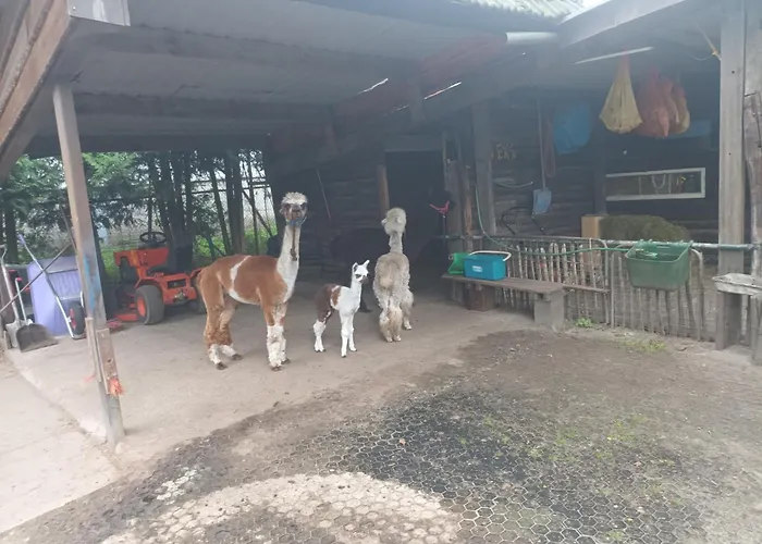 Boerderij Ξενοδοχείο με διαμερίσματα 3*