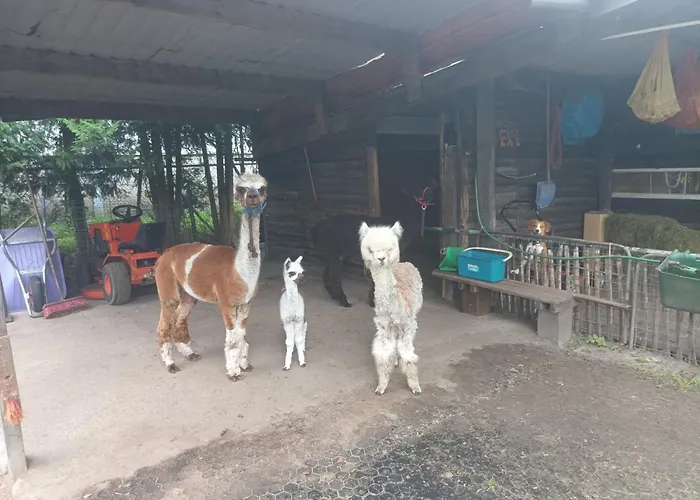 Boerderij Ξενοδοχείο με διαμερίσματα 3*